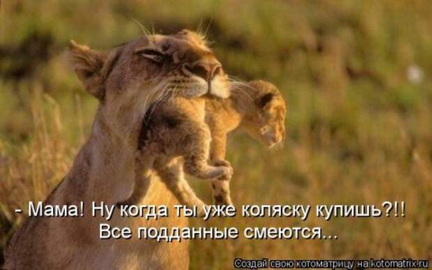 Новые крутые котоматрицы первой недели октября (50 фото) Новые крутые котоматрицы первой недели октября (50 фото)