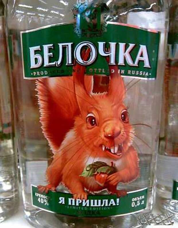 фото прикол