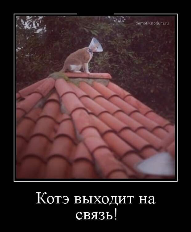 Демотиваторы демотиваторы, юмор