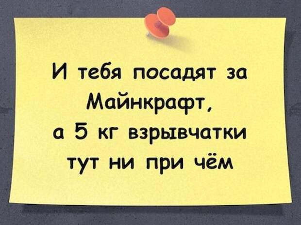 За что посадили подростка, «взорвавшего здание ФСБ в игре Minecraft» За что посадили подростка, «взорвавшего здание ФСБ в игре Minecraft»