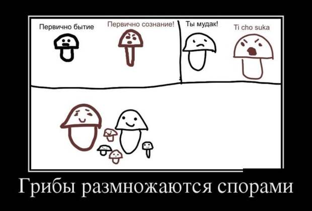 Демотиваторы (30 фото) Демотиваторы (30 фото)