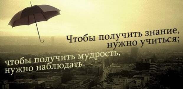 Цитаты о жизни (21 картинка)