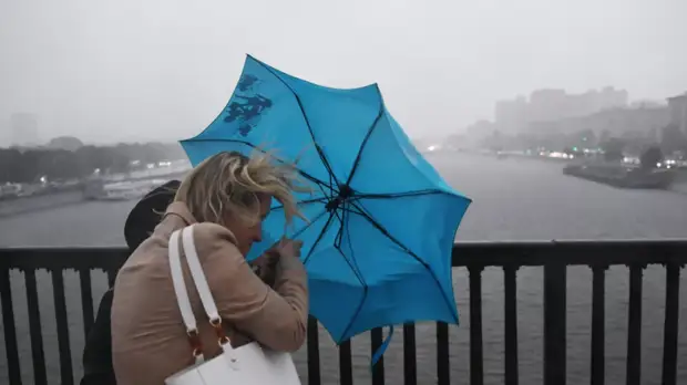 В МЧС предупредили о сильном ветре в Москве