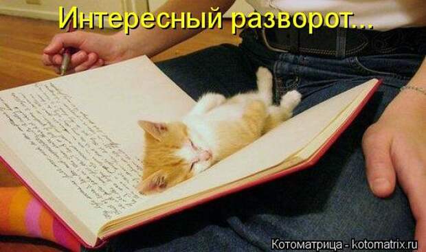 Котоматрица №33