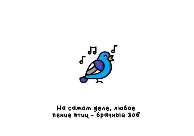 Разные интересные факты на все случаи жизни
