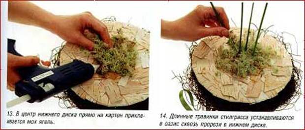 Лето в сумке