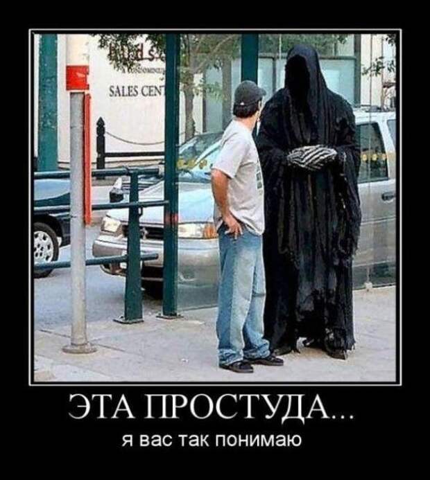 Демотиваторы (30 фото)