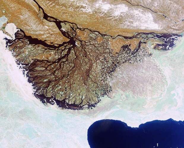 Дельта реки Лены. космос, россия, фото