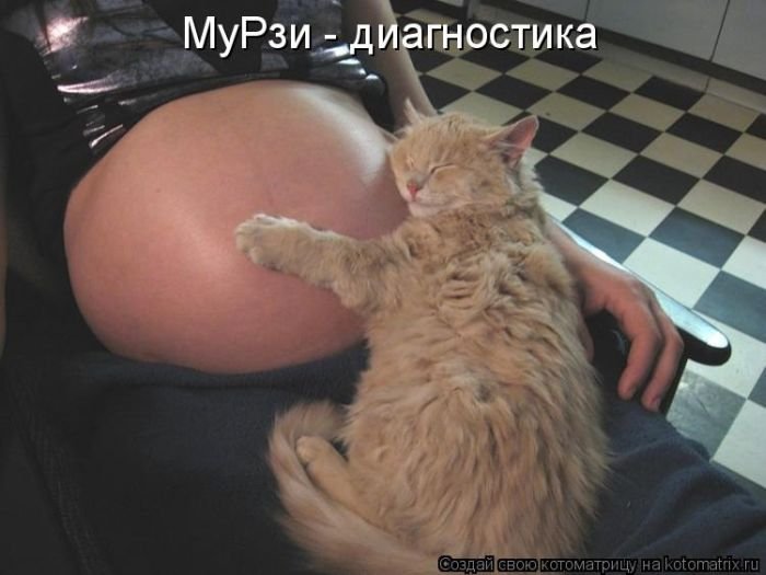 Забавные животные. Смешные фото Забавные животные. Смешные фото