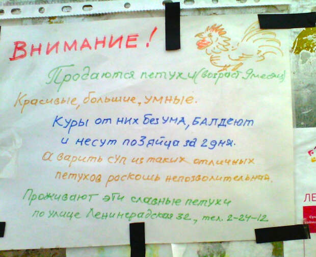 позитивные объявления с юмором 