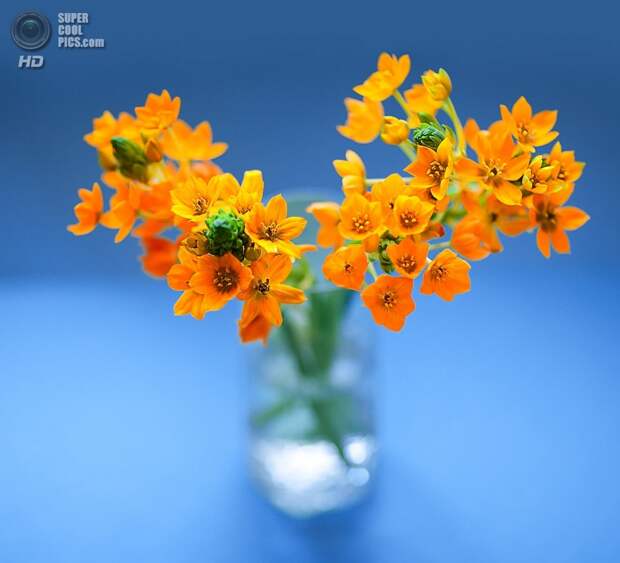 supercoolpics_15_08032014104800