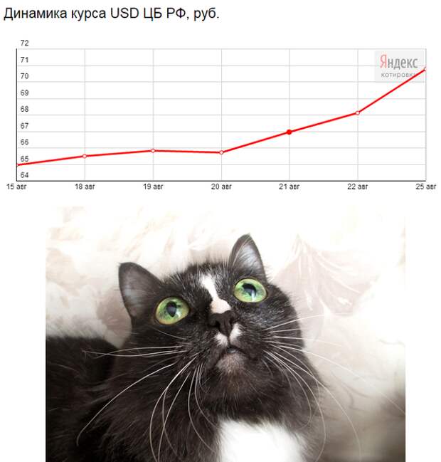 12. доллар, рубль, юмор