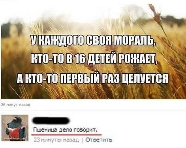 Комментарии дня. Отличные приколы!