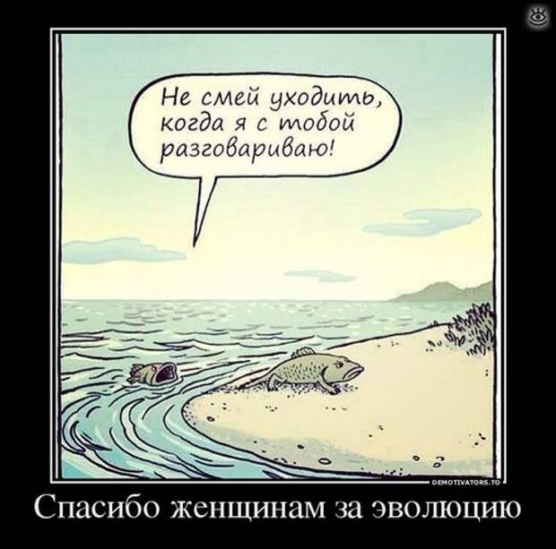 Спасибо женщинам за эволюцию! 48
