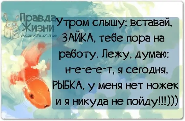 Встань жизнь. Правда жизни доброе утро. С добрым утром рыбка. С добрым утром рыбка моя. Цитаты про рыбок.