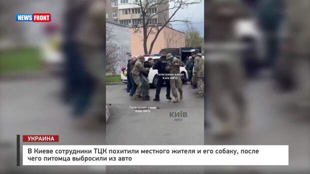 В Киеве сотрудники ТЦК похитили местного жителя и его собаку, после чего питомца выбросили из авто