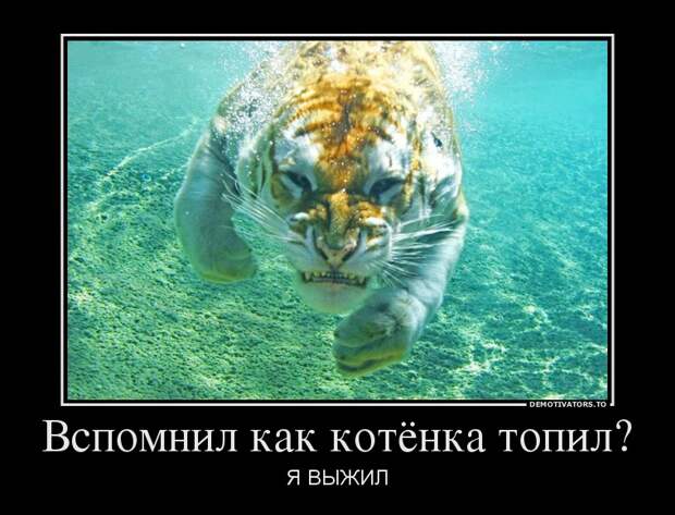 Демотиваторы 