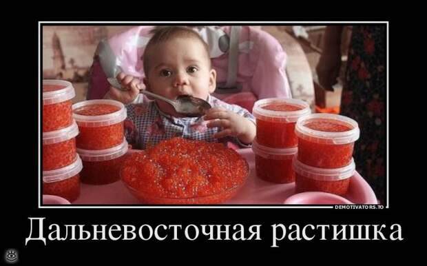 Не сдавайся никогда! 8