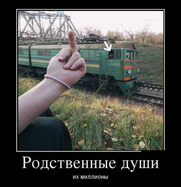 Демотиваторы демотиваторы