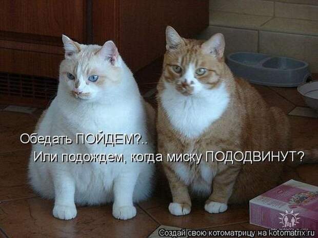 Мысли вслух :)