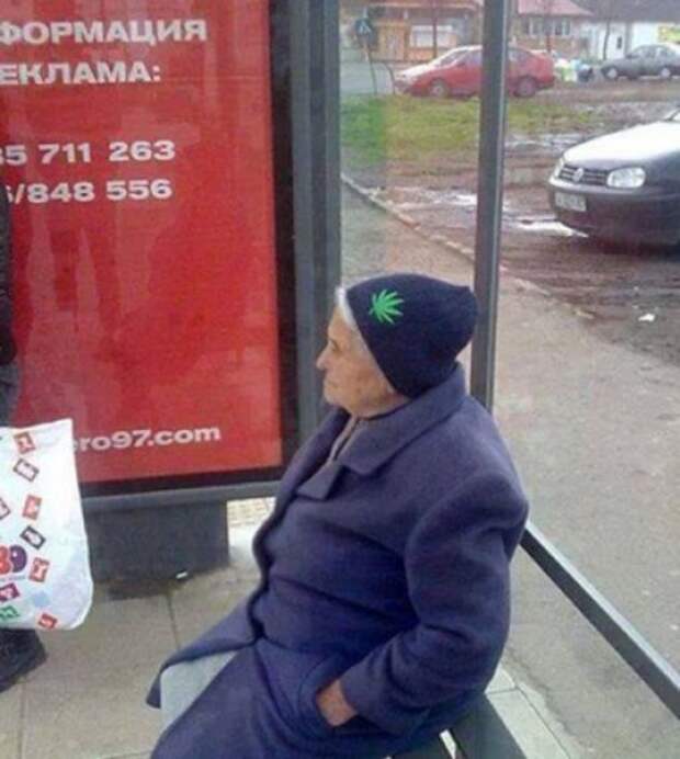 Общественный транспорт в Сербии люди, транспорт, фото, чудаки