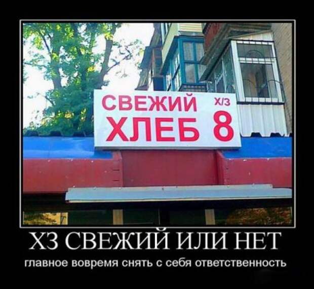 Демотиваторы смешно и прикольно!