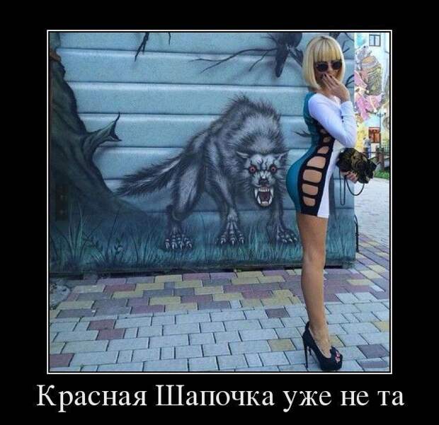 Демотиваторы (30 фото)