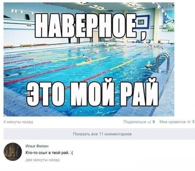 Смешные комментарии из социальных сетей картинки, прикол, соц сети, юмор