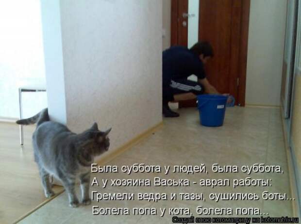Новая котоматрица (32 фото)