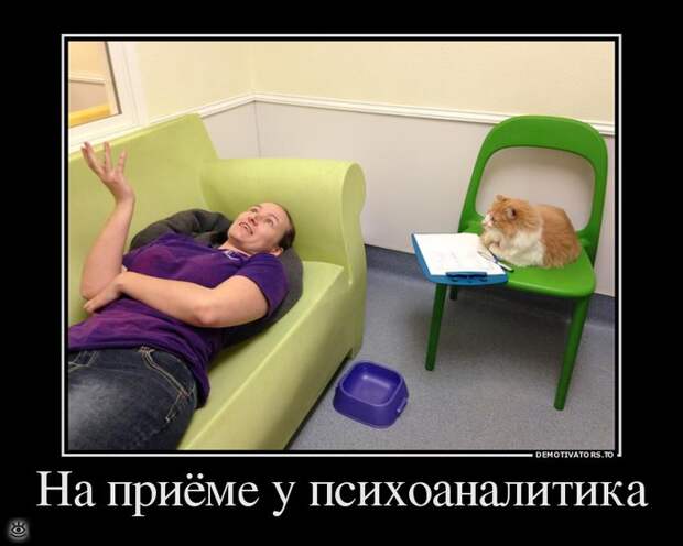 Покой нам только снится! 17
