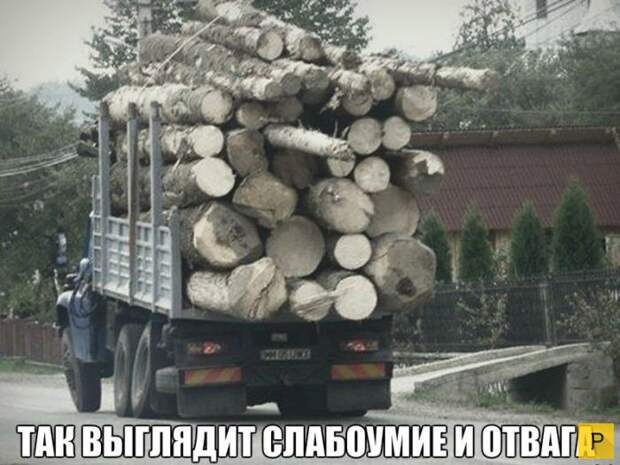 Забавные моменты, связанные с автомобилями (40 фото)