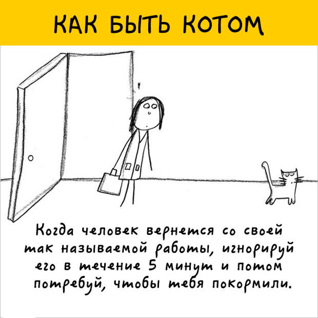 как правильно быть котом