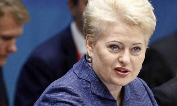 Президент Литвы позволила себе оскорбить Россию, высказавшись в резкой форме в адрес Москвы