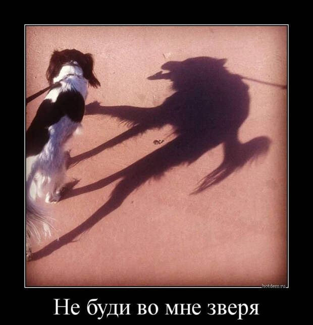 demotiv_005.jpg demotiv_005.jpg