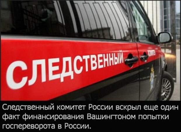 СК нашел доказательства попытки реализовать "цветную революцию" в РФ у активистки "Парнас"