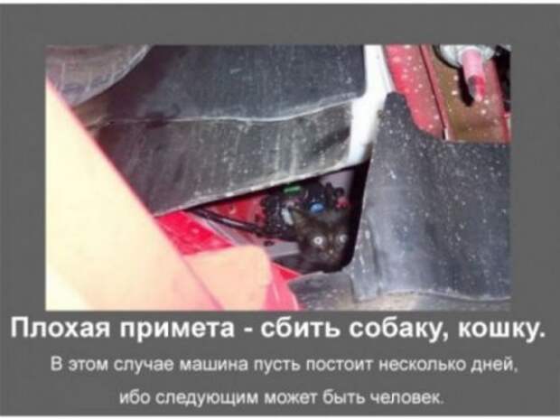 Автомобильные приметы.