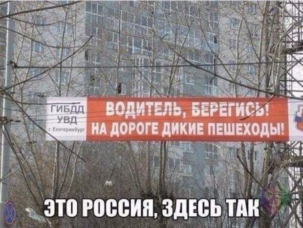 АВТОприкольные картинки для настроения (24 шт)