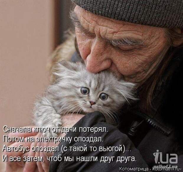 Симпатюли