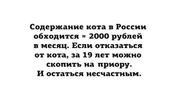 Прикольные картинки (95 фото)