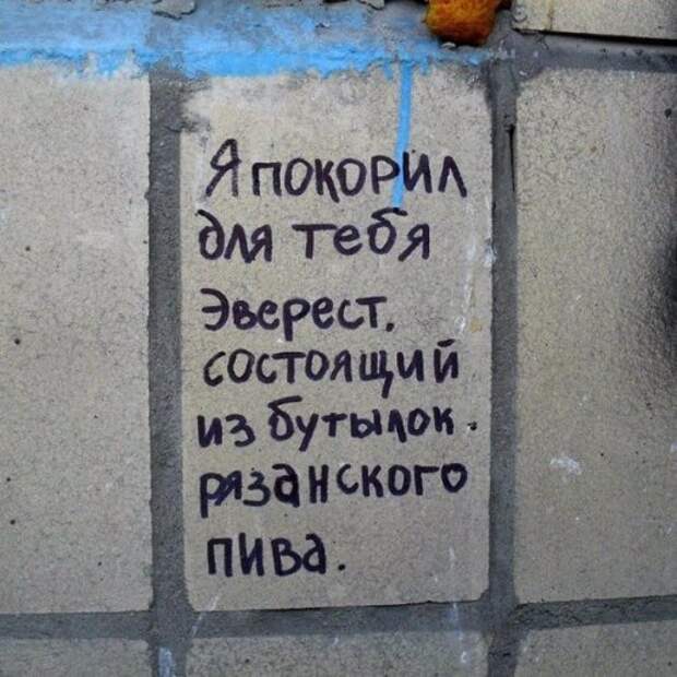Смешные надписи, объявления и вывески (34 фото)