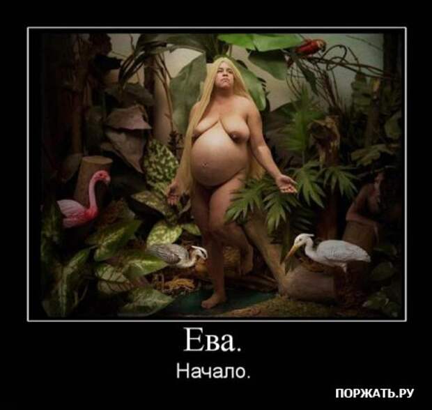 Демотиваторы (22 штуки)