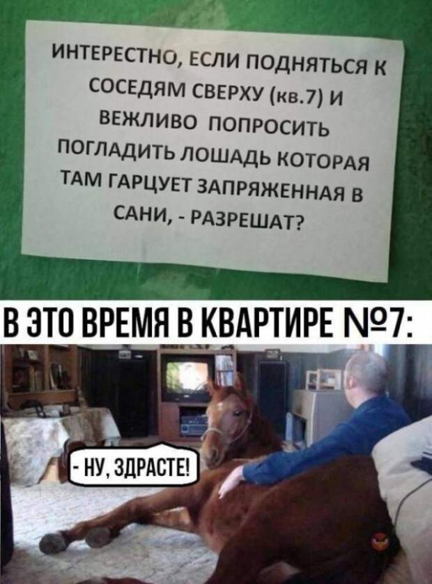 Картинки и мемы для настроения