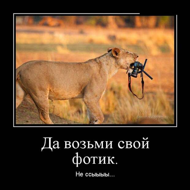 Демотиваторы №1024 (30 фото)