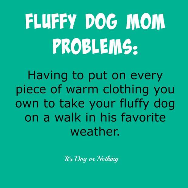 Fluffy Dog Mom Problems