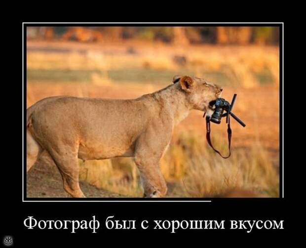 Оставь заботы всяк сюда входящий! 18