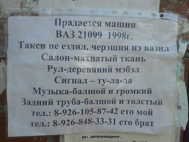 Всякости всякости, картинки, юмор