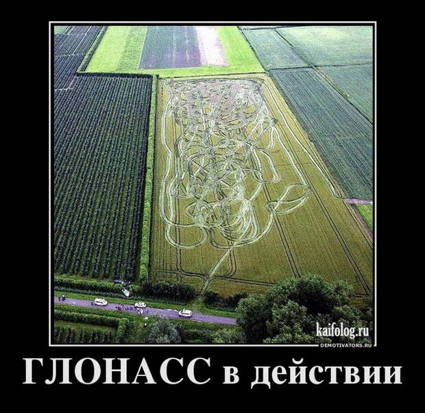 Демотиваторы - 127 (55 фото)
