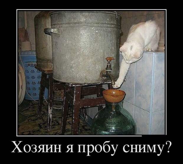 Демотиваторы. Наслаждайтесь!
