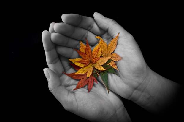 Осень в Японии 2015 2015 осень япония, алая осень японии, дегустация осени в японии, красные клены японии, момидзи, момидзи 2015, момидзи-гари, осень в японии, осень по-японски, осень-японии, тур в японию, японки, японская осень 2015