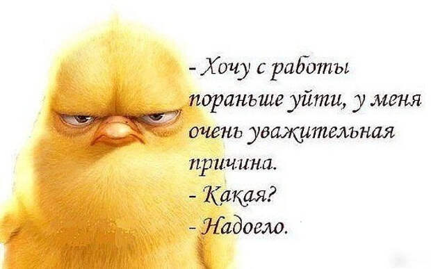 РҐРѕС‡Сѓ РїРѕСЂР°РЅСЊС€Рµ СѓР№С‚Рё СЃ СЂР°Р±РѕС‚С‹, РЅР°РґРѕРµР»Рѕ (542x339, 143Kb)